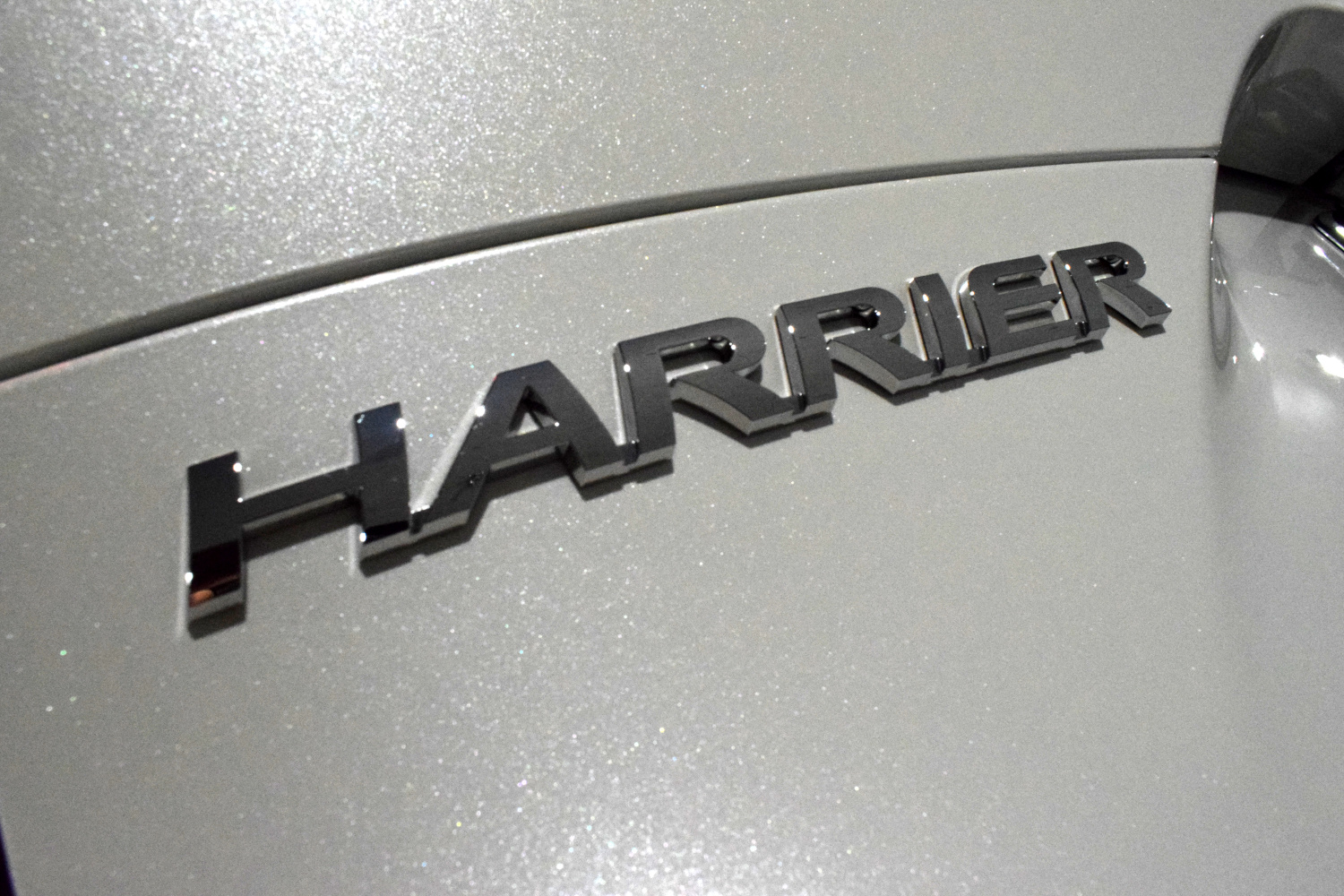 20220126harrer7.jpg